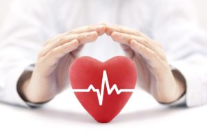 doctor holding heart model